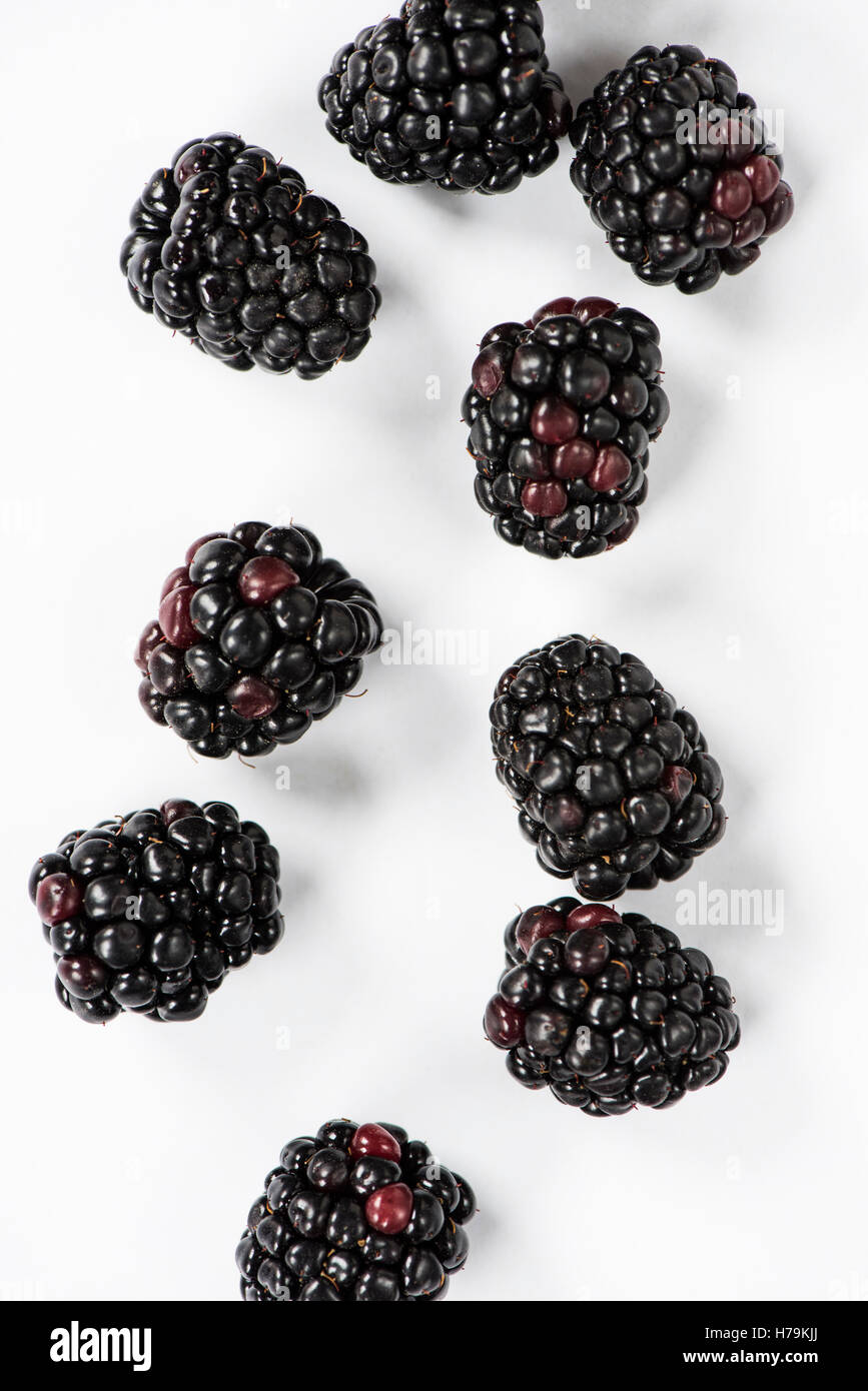 Blackberries on white background. Stock Photo