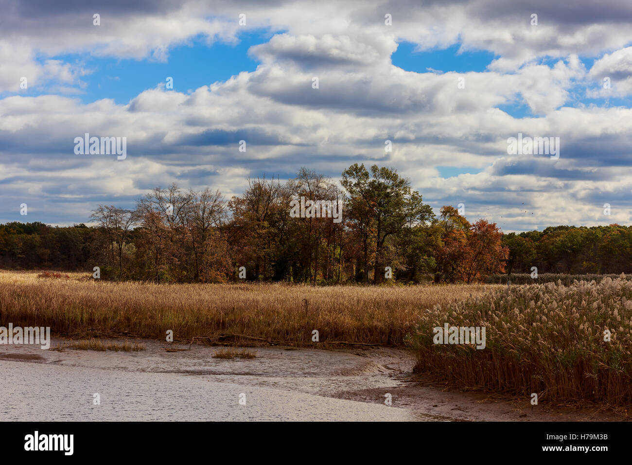 Autumn Landscape. Park in . The bright colors of in the by the lake ...