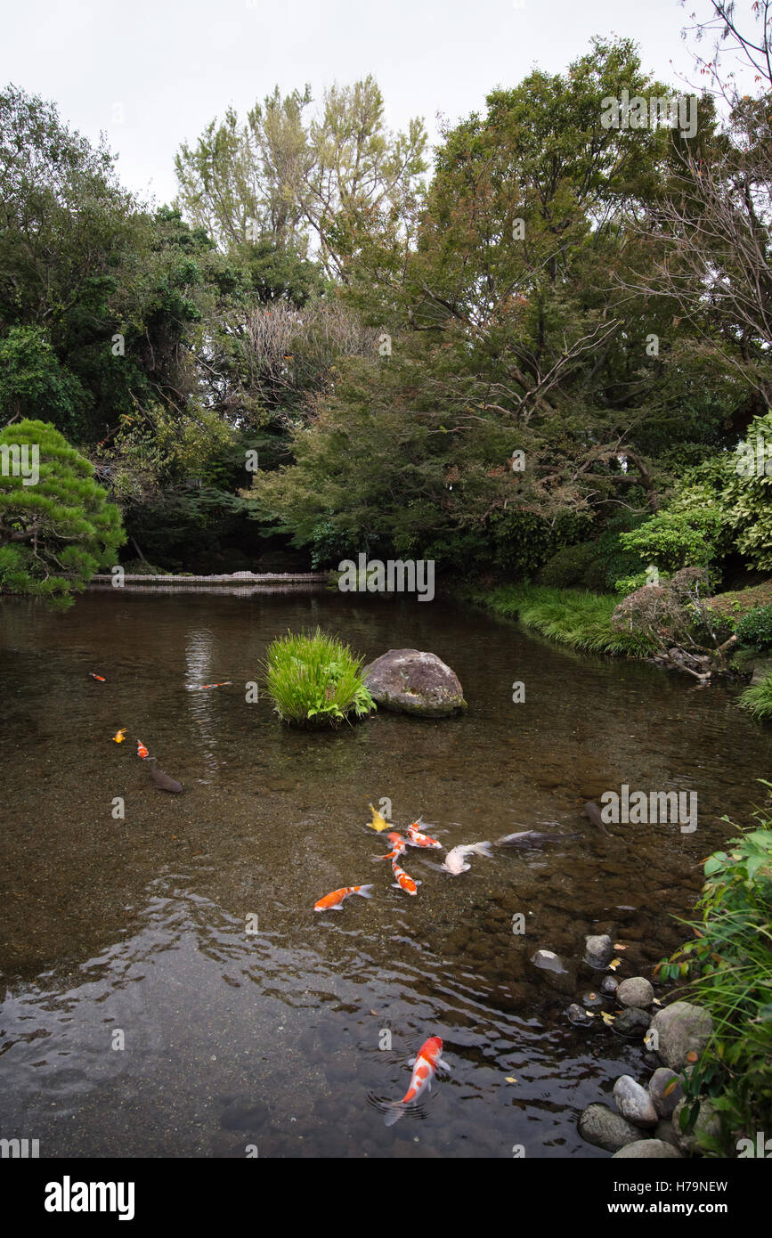 Koi and beautiful scenery in Suizenji garden ,Japan Stock Photo