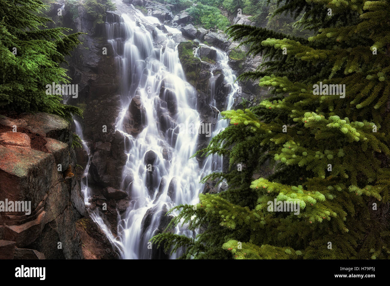Edith Creek cascades 72 feet over Myrtle Falls and into a deep gorge at Washington’s Mt Rainier National Park. Stock Photo