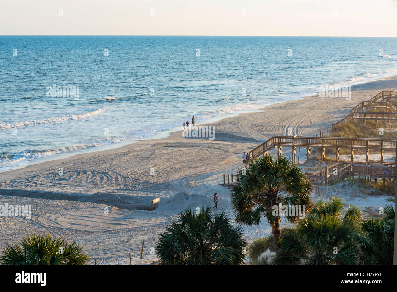 Roof Top View of Palm Trees, Walkways And Seashore Myrtle Beach South