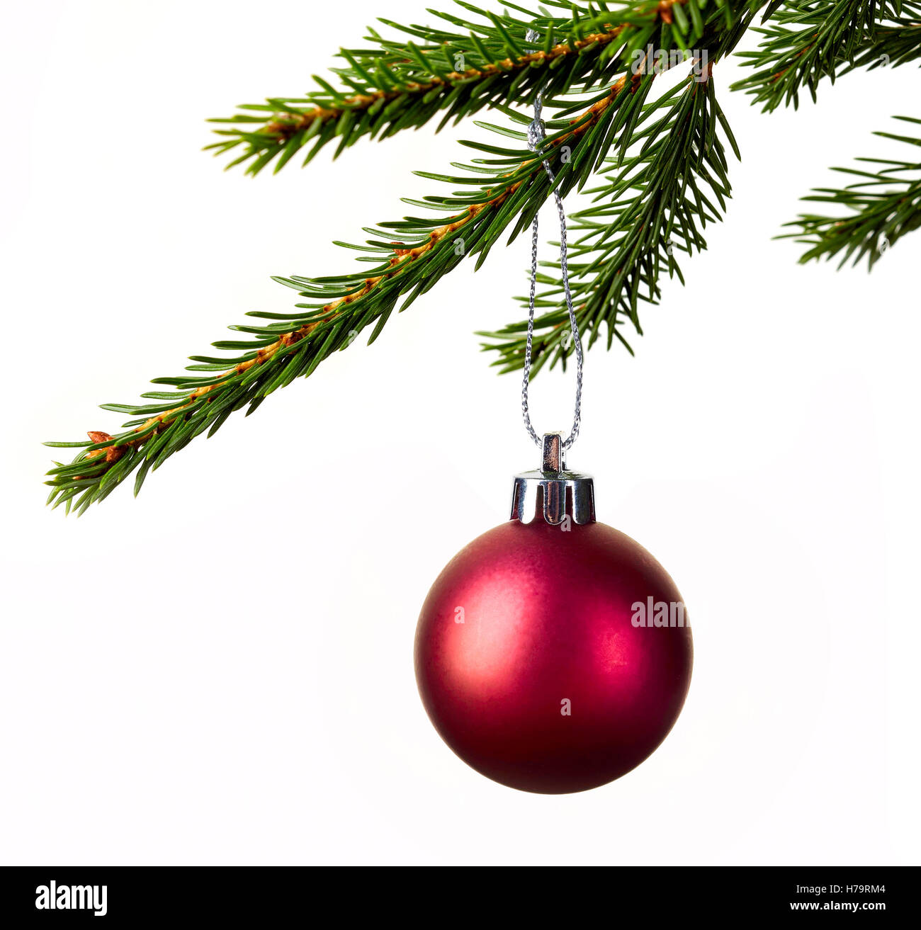 Red christmas ball hanging in spruce isolated on white background Stock ...