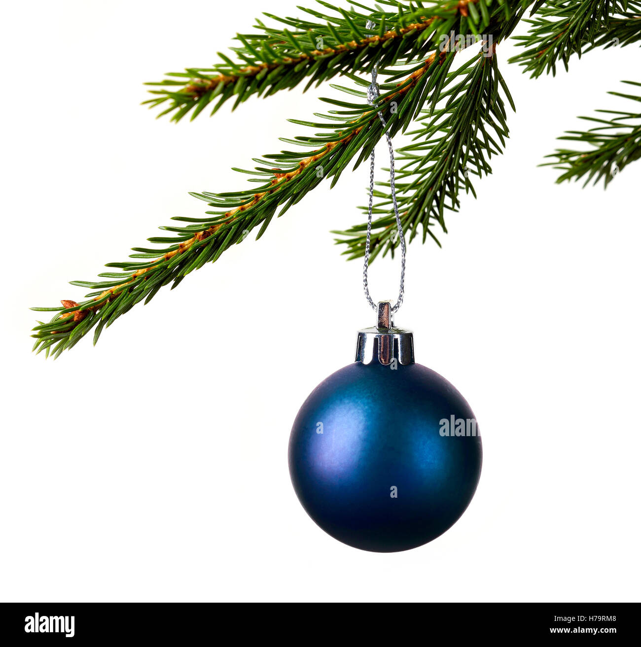 Blue christmas ball hanging in spruce isolated on white background ...