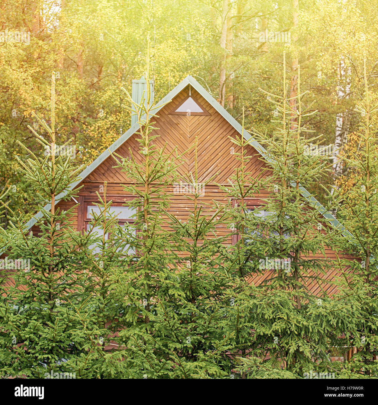Wooden house in the forest Stock Photo - Alamy