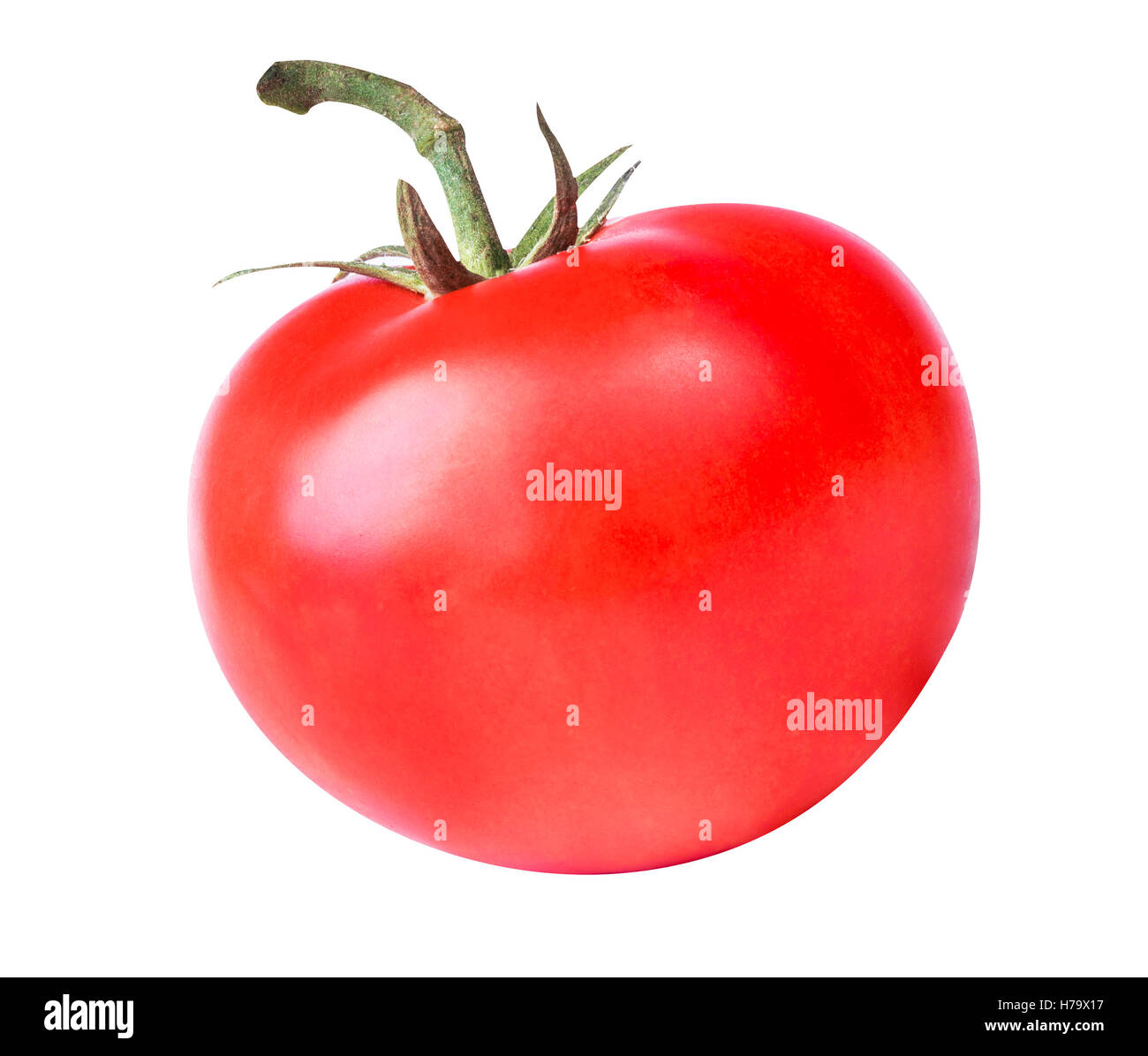 tomato isolated on white background Stock Photo - Alamy