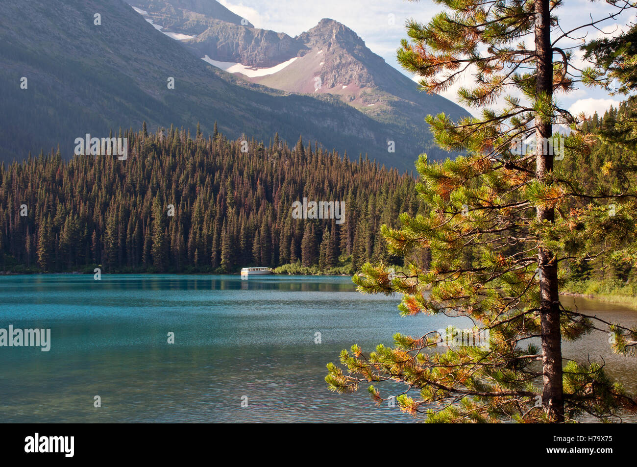 Swift current lake in Glacier National Park, Montana, USA Stock Photo