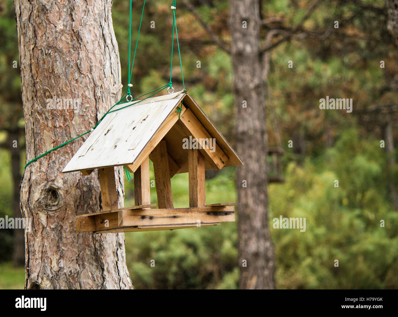 Opened birdhouse mounted on the tree, waiting for birds to come. Stock Photo