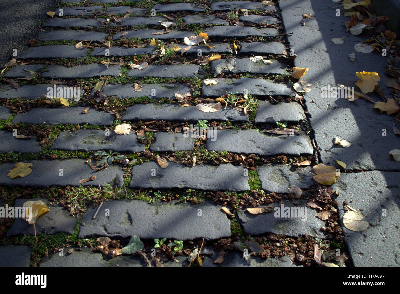 perfect stretch of cobblestones Glasgow in Scotland Stock Photo