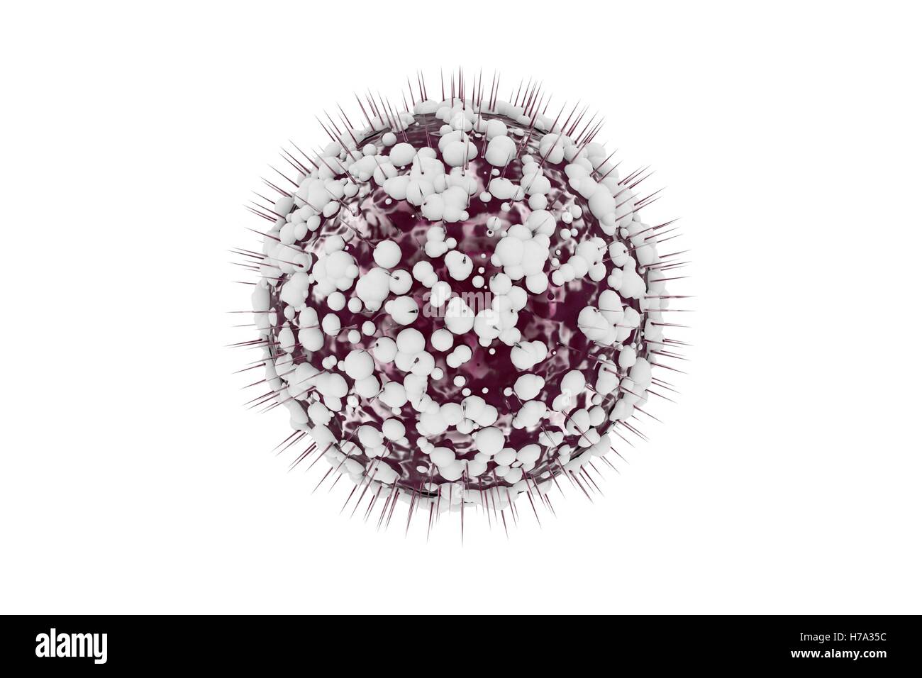 illustration of the Zika, viral disease epidemic , Outbreak, HIV, flu, influenza, hepatitis C, HCV, 3D virus, herpes Stock Photo
