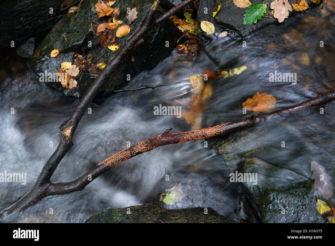 River Detail Stock Photo