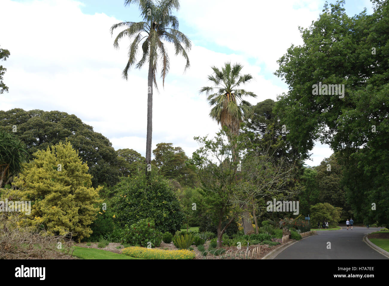 The Royal Botanic Gardens in Melbourne. Stock Photo