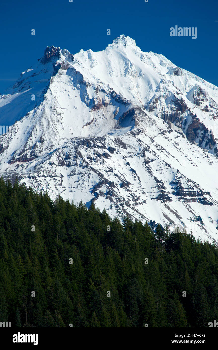 Mt Jefferson, Willamette National Forest, Oregon Stock Photo