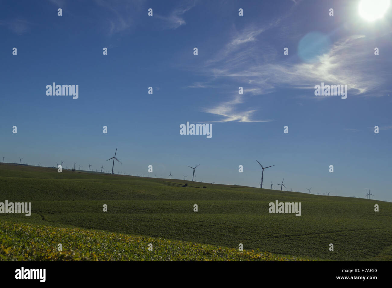 Wind turbines in Northeast Nebraska Stock Photo Alamy