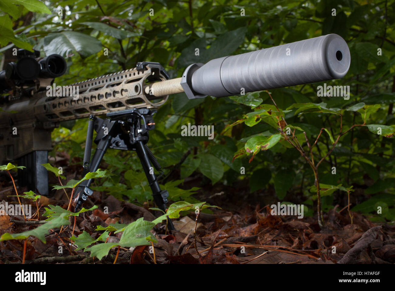 Suppressor on a modern sporting rifle in the forest Stock Photo - Alamy