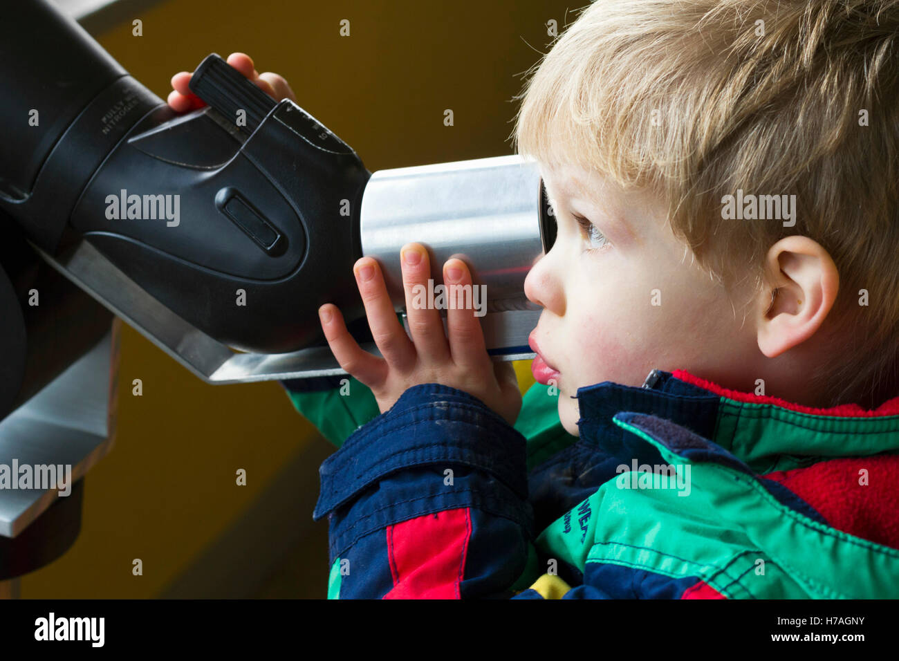 Young boy watching birds through a telescope Stock Photo