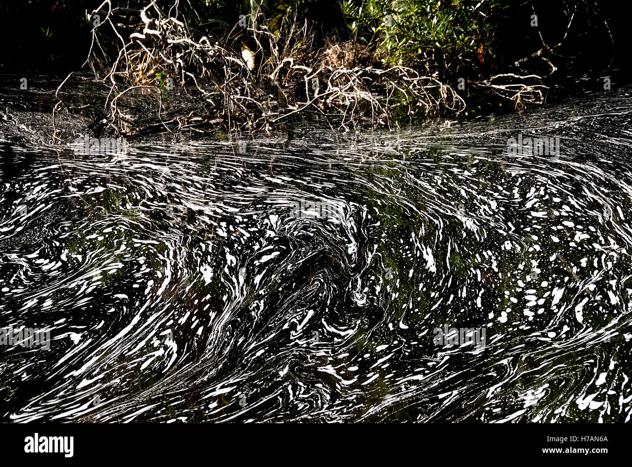 Abstract of water, froth, movement  and flow Stock Photo
