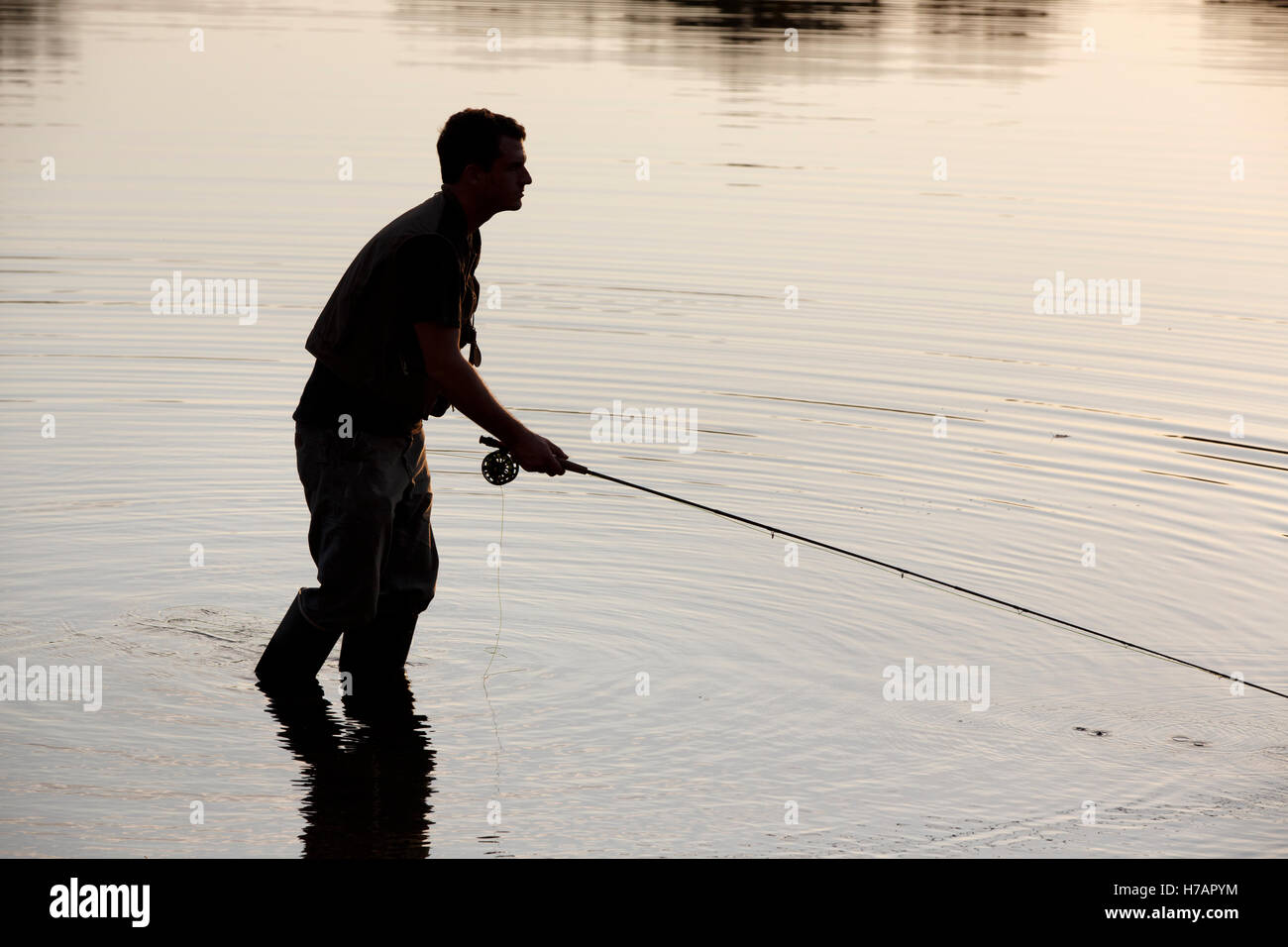 Man fly fishing, Houghton's Pond, Milton, Massachusetts Stock Photo