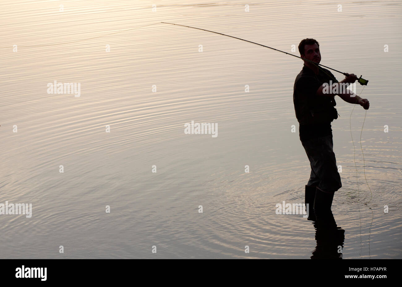 Man fly fishing, Houghton's Pond, Milton, Massachusetts Stock Photo - Alamy