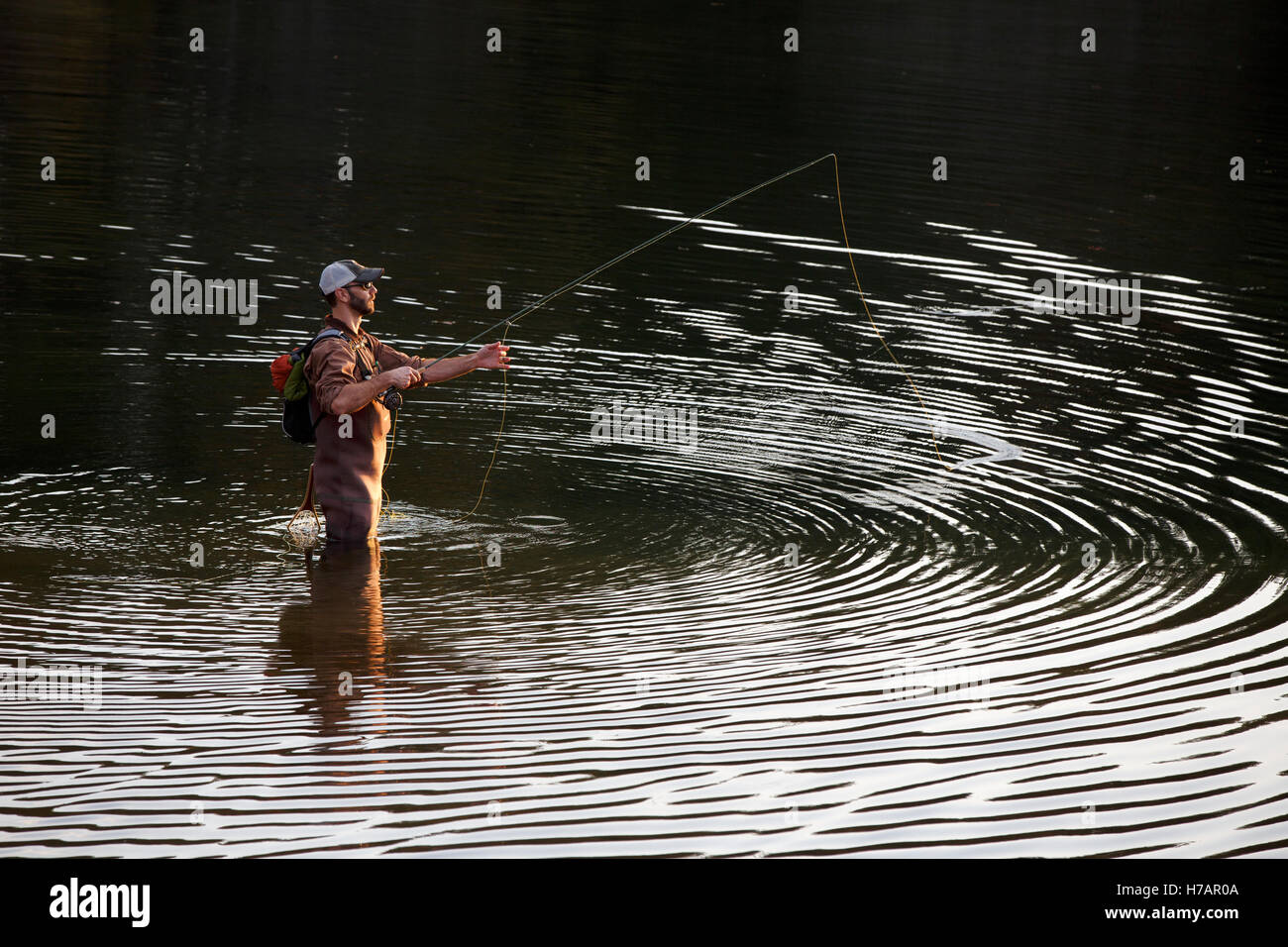 Man fly fishing, Houghton's Pond, Milton, Massachusetts Stock Photo