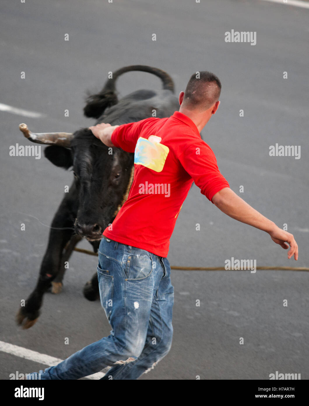 Man running behind bull tourada hires stock photography and images Alamy