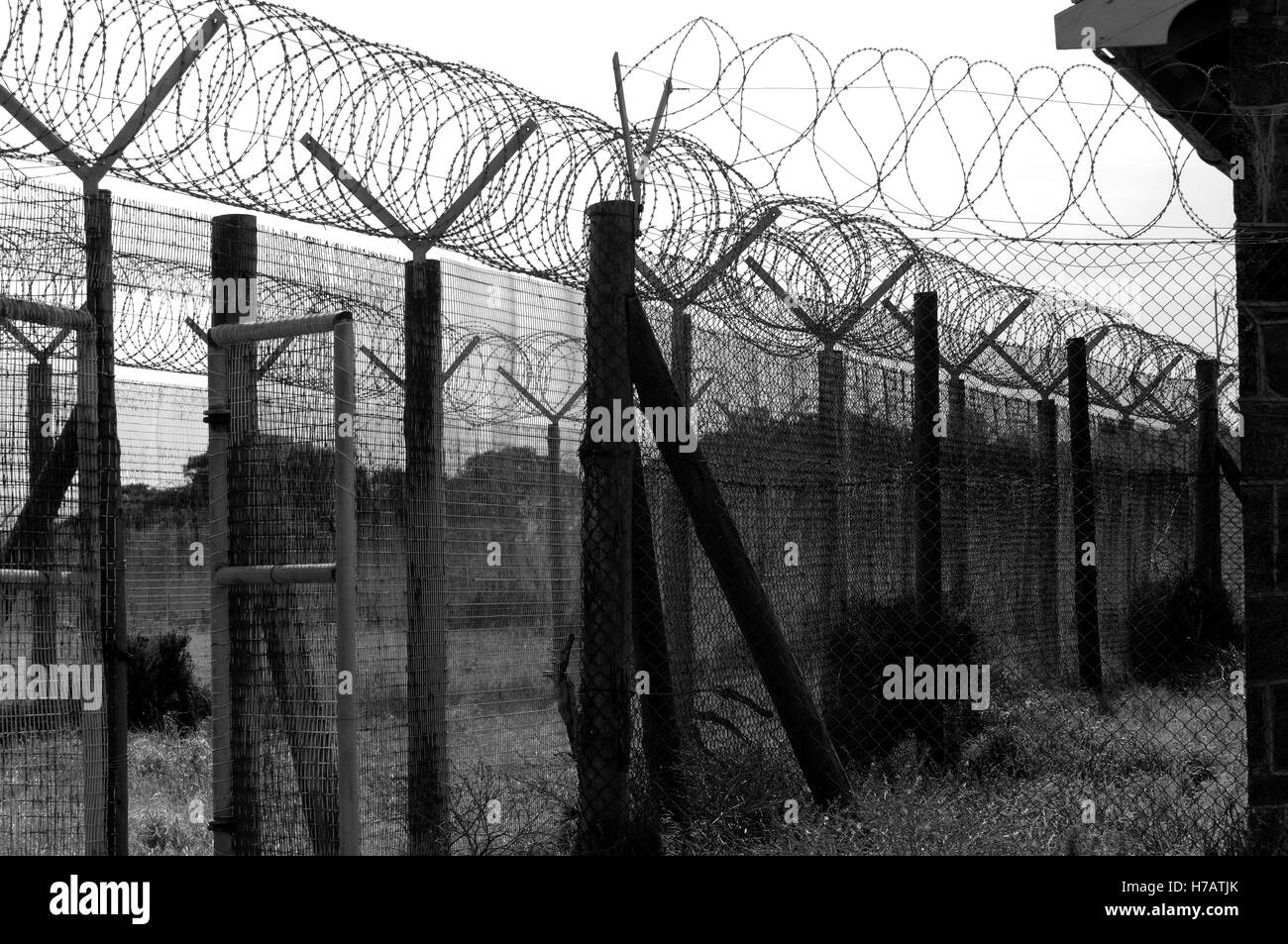 Prison perimeter fencing Stock Photo - Alamy