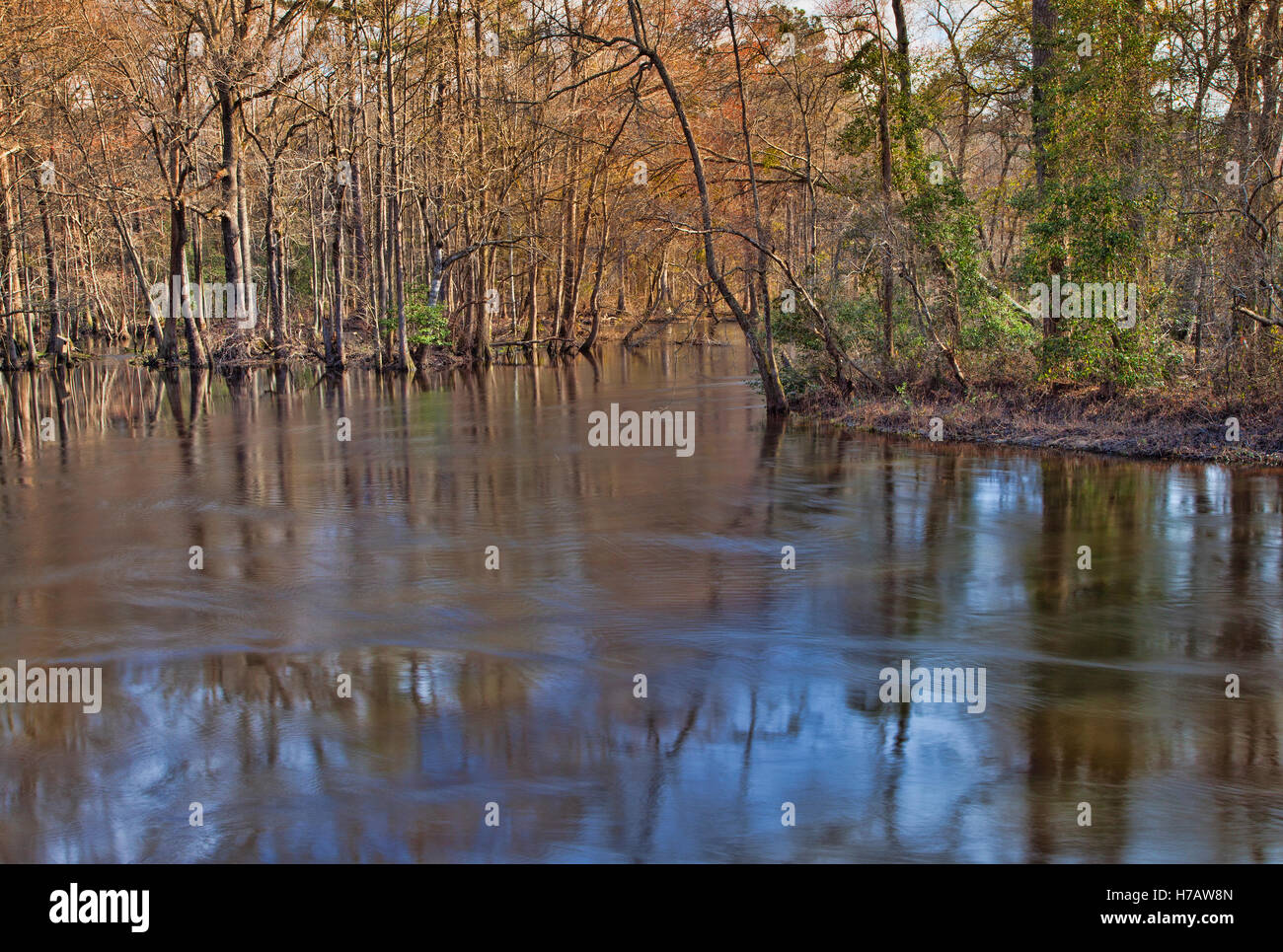 Lumber River rolling through North Carolina in the winter Stock Photo