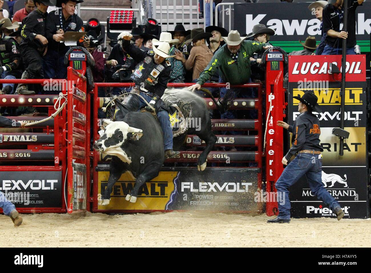 Las Vegas, NV, USA. 2nd Nov, 2016. Joao Ricardo Vieira riding Rocco in