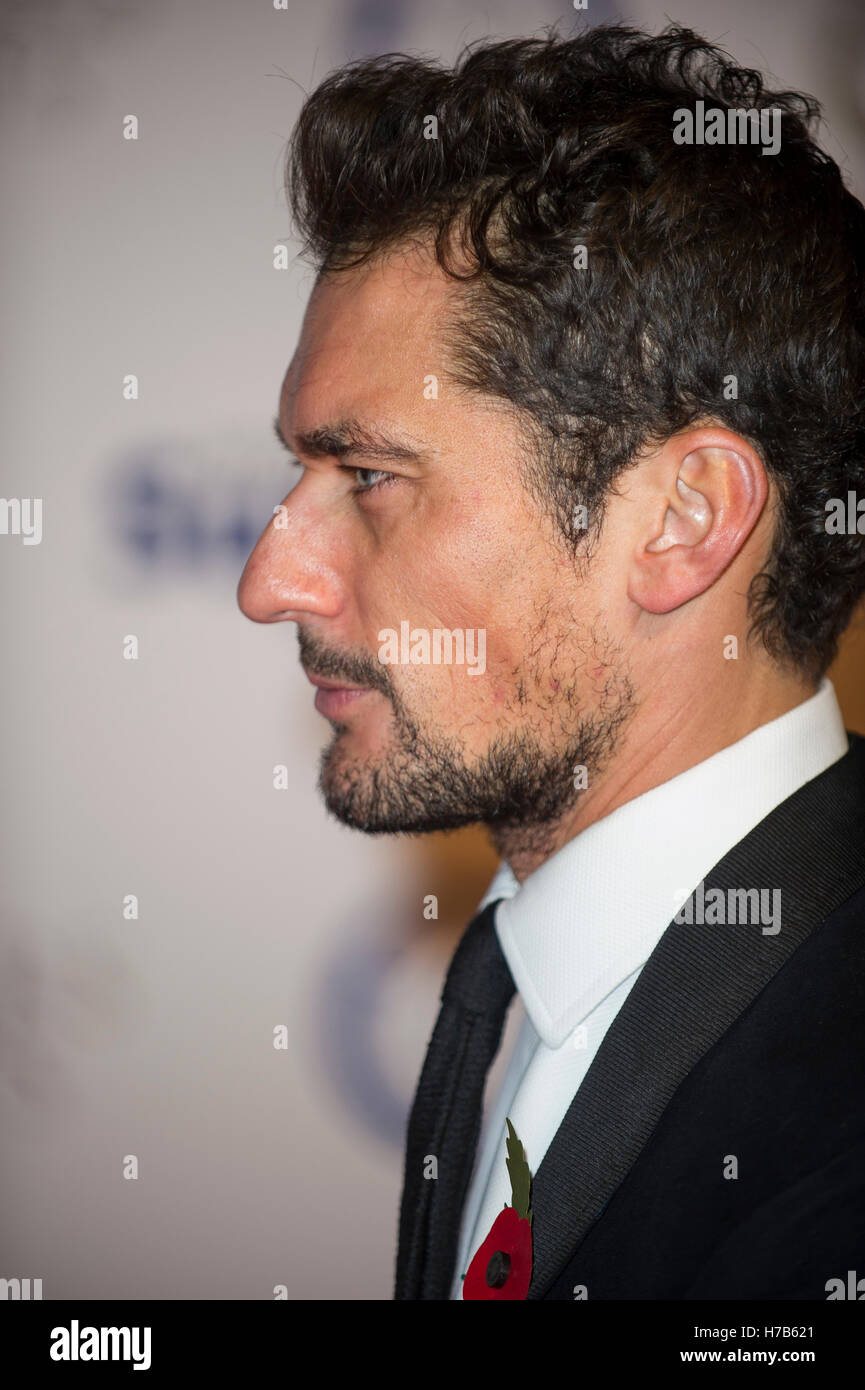 David Gandy Profile