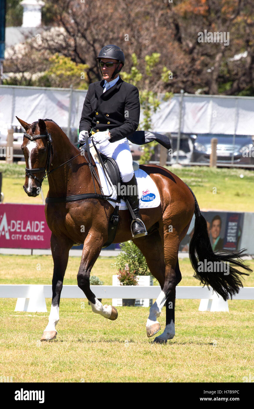 Wilhelm Enzinger (AUS) riding Wenlock Aquifer in the dressage section of the Australian International Three Day Event in Adelaide Australia. They led the 4 star category. Stock Photo