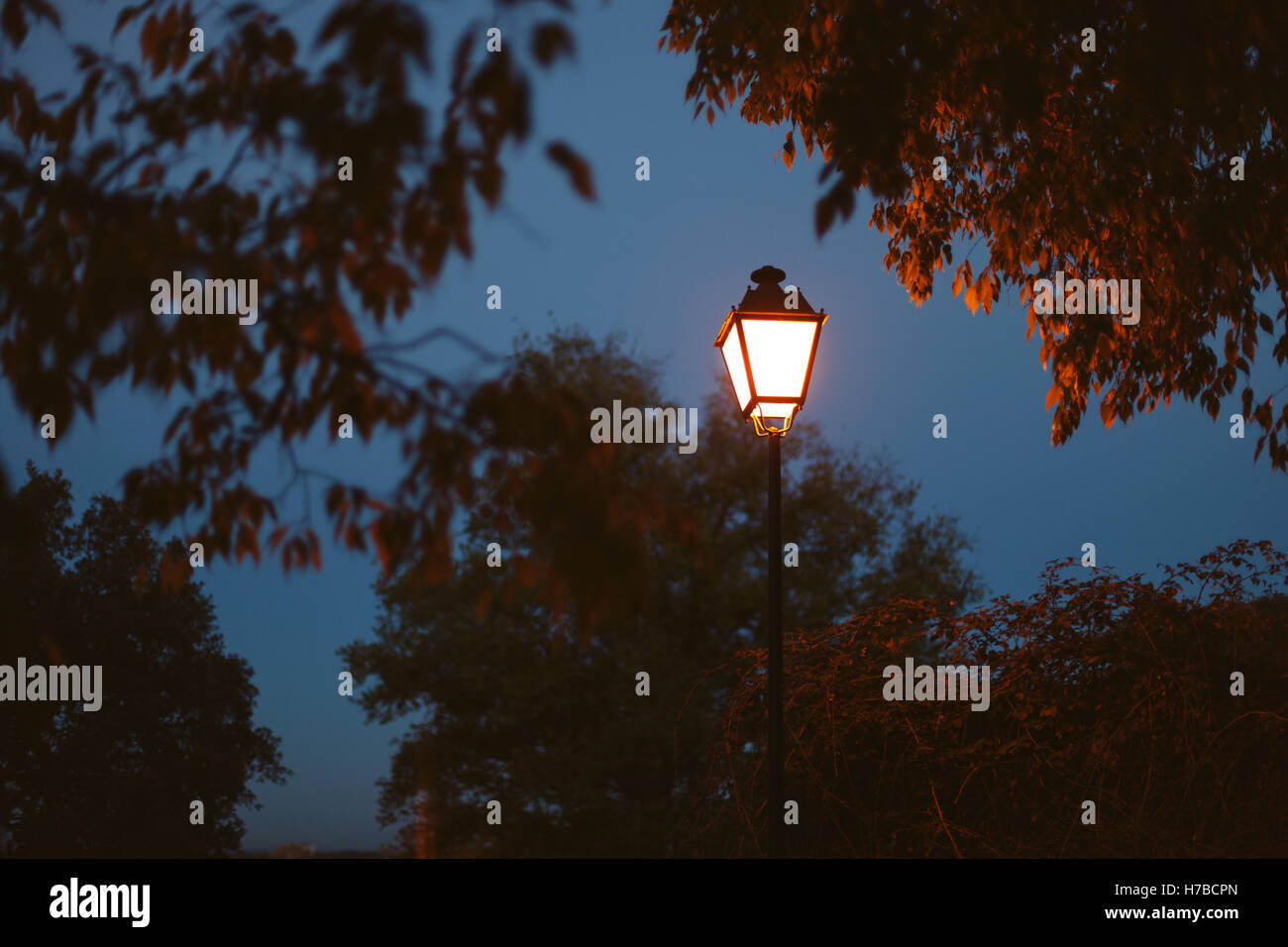 Lighted lantern on a dark blue sky at the beginning of twilight Stock Photo