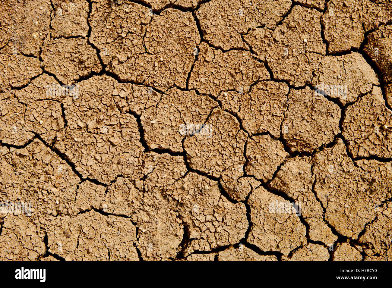 Текстура земли. Потресканная земля текстура. Цвет сухая земля. Потресканная земля текстура. Цвет сухая земля.