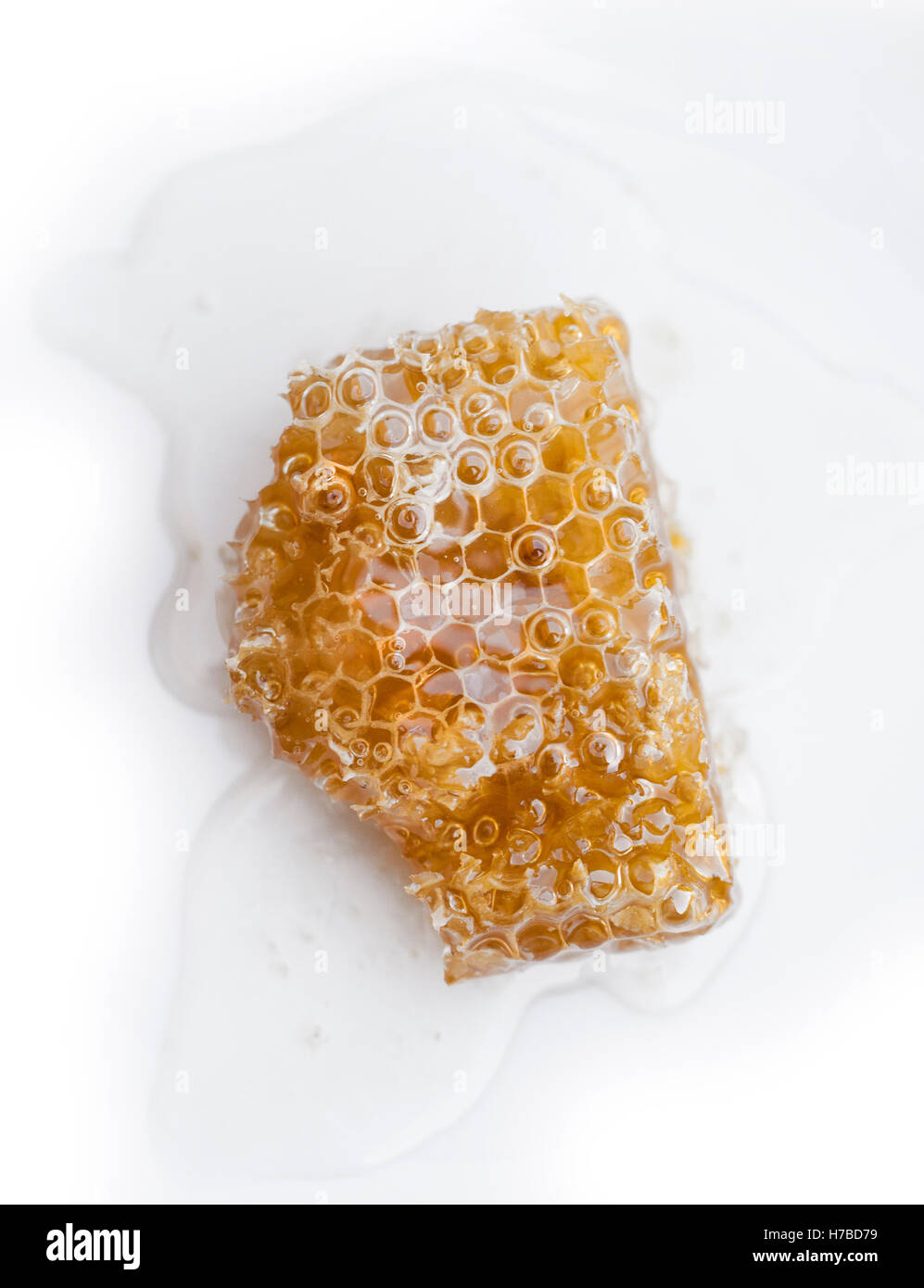 Sweet slice of honeycomb honeycomb with honey isolated on white background Stock Photo