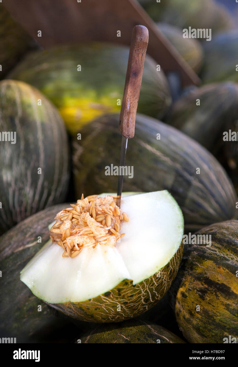 Open Santa Claus melon with knife on it. This variety is also known as Christmas melon or piel de sapo. Stock Photo