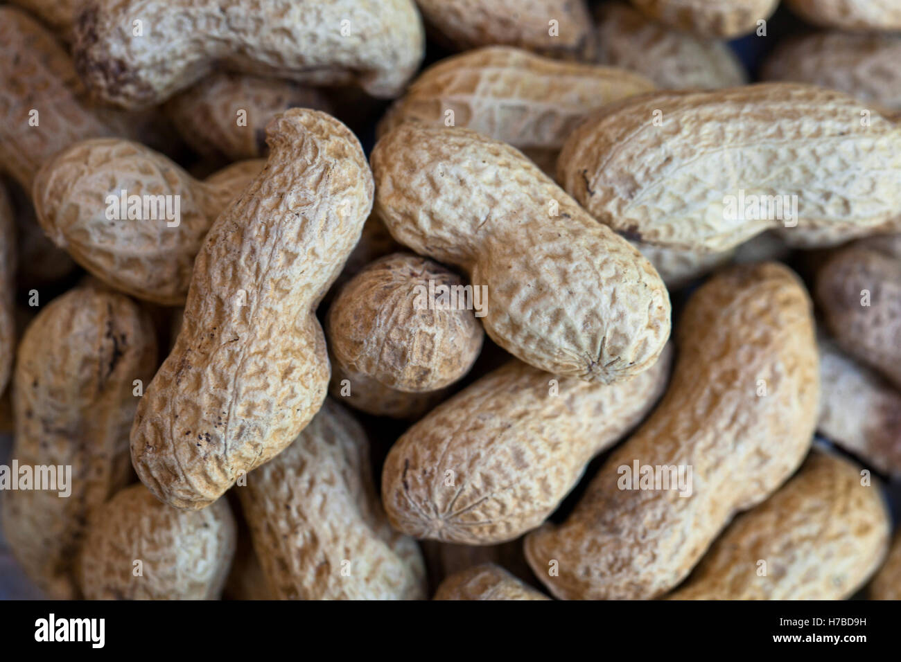 Close up of a bunch of roasted peanuts in their shells Stock Photo Alamy