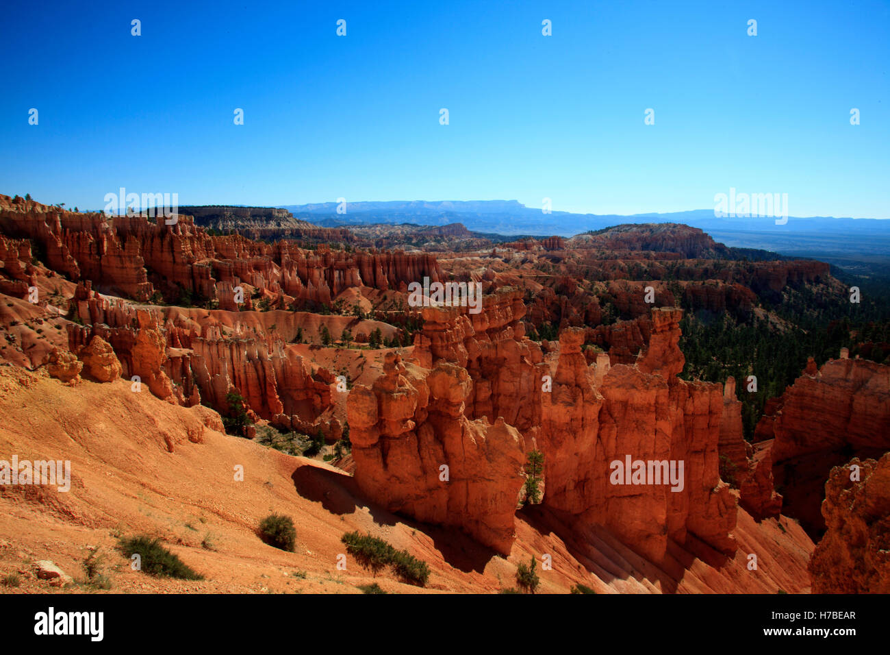 Hoodoo rock formations in Bryce Canyon National Park, Utah, USA Stock ...