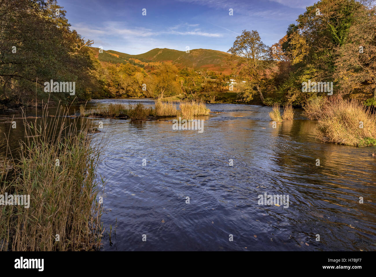 River Dee at llangollen Denbighshire North Wales. Autumn colours and leaves on the trees. Llantysilio valley Stock Photo