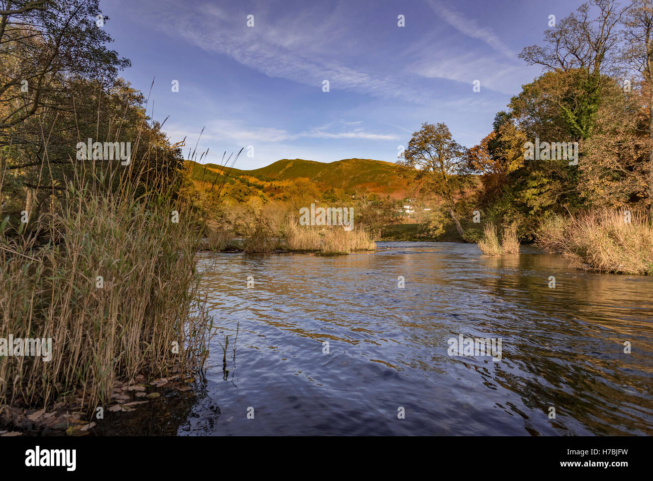 River Dee at llangollen Denbighshire North Wales. Autumn colours and leaves on the trees. Llantysilio valley Stock Photo