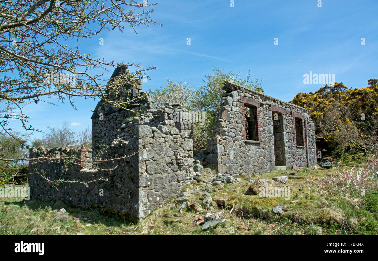 The ruins of Watchet Hill Cottage near Belstone Common, Dartmoor Stock Photo