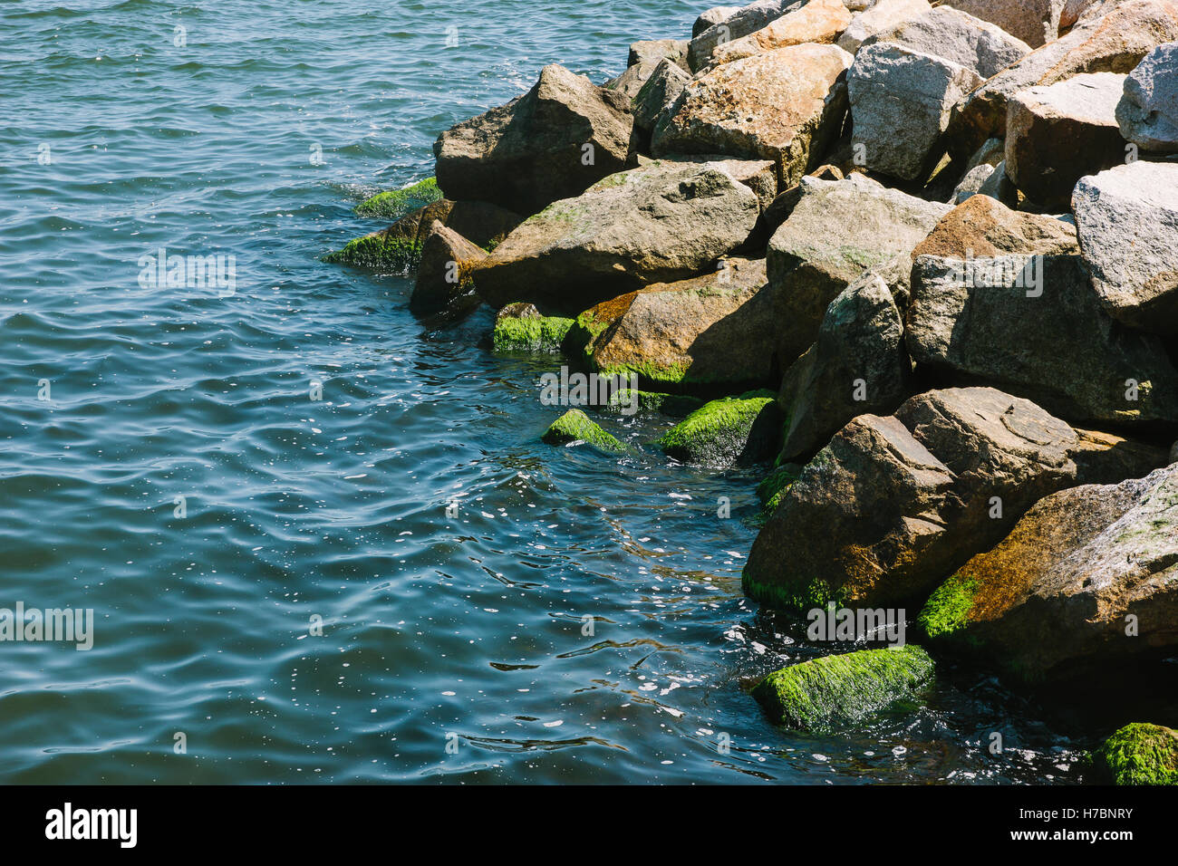 Rocks covered in moss by the sea. Stock Photo