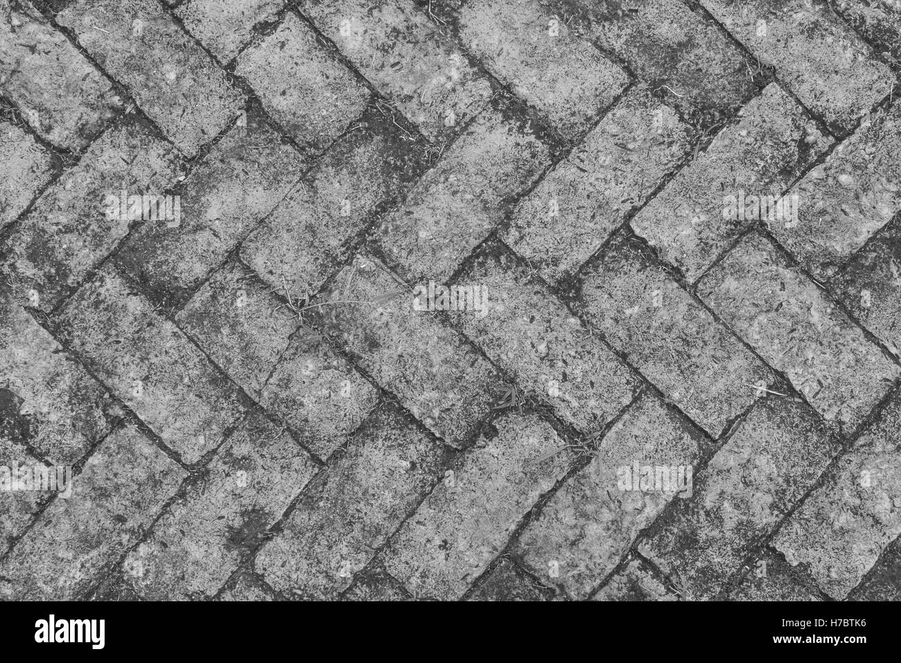 old red brick floor with moss in garden, black and white tone Stock Photo