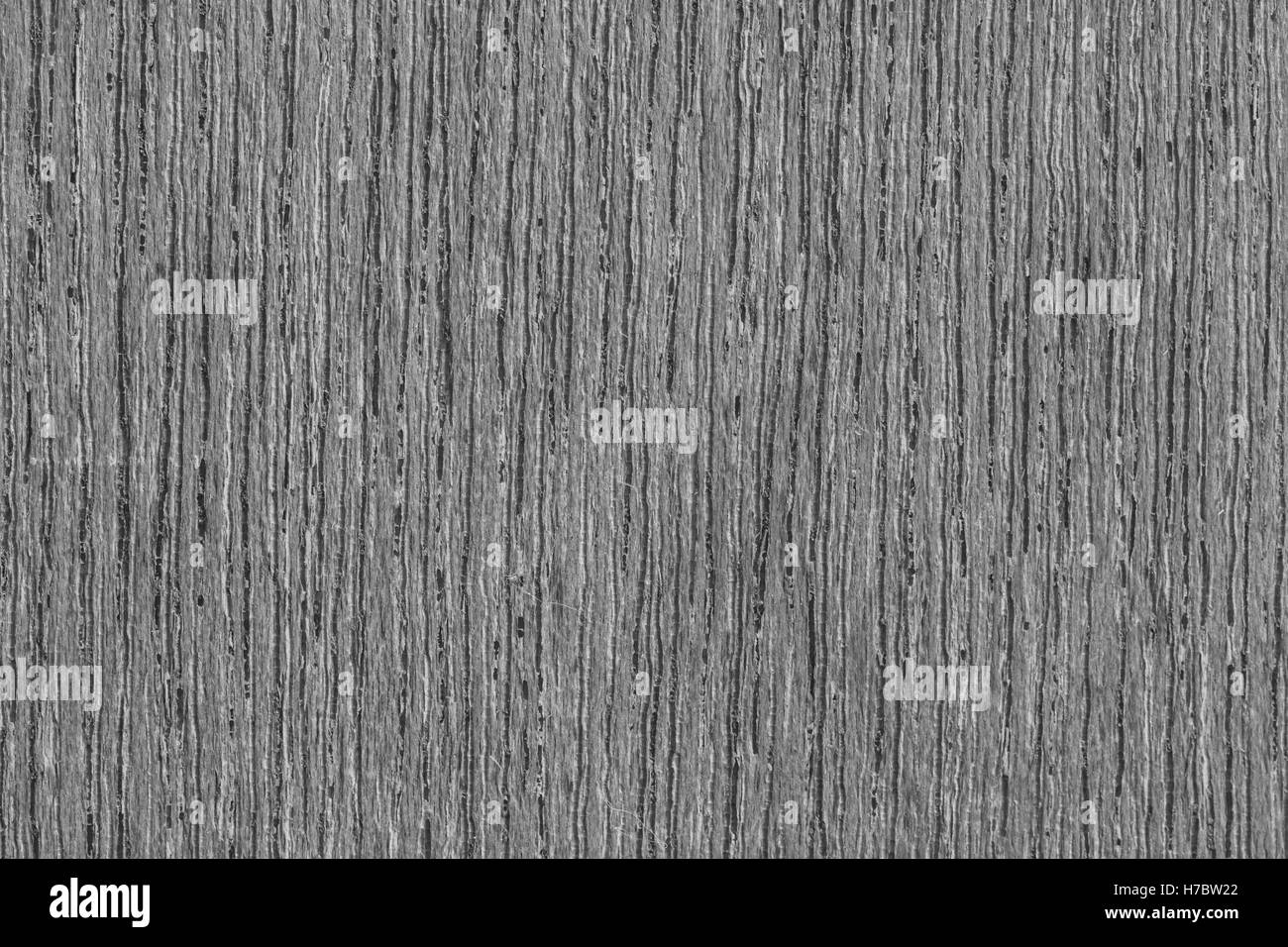 texture of bark wood use as natural background, black and white tone Stock Photo