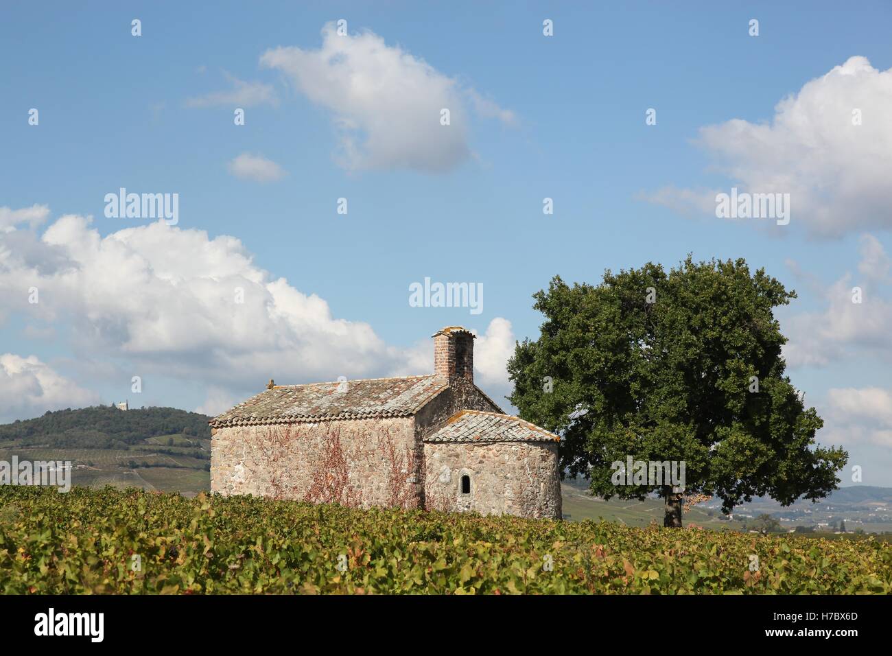 Chapel of Saint Pierre in Beaujolais with Mont Brouilly, France Stock Photo