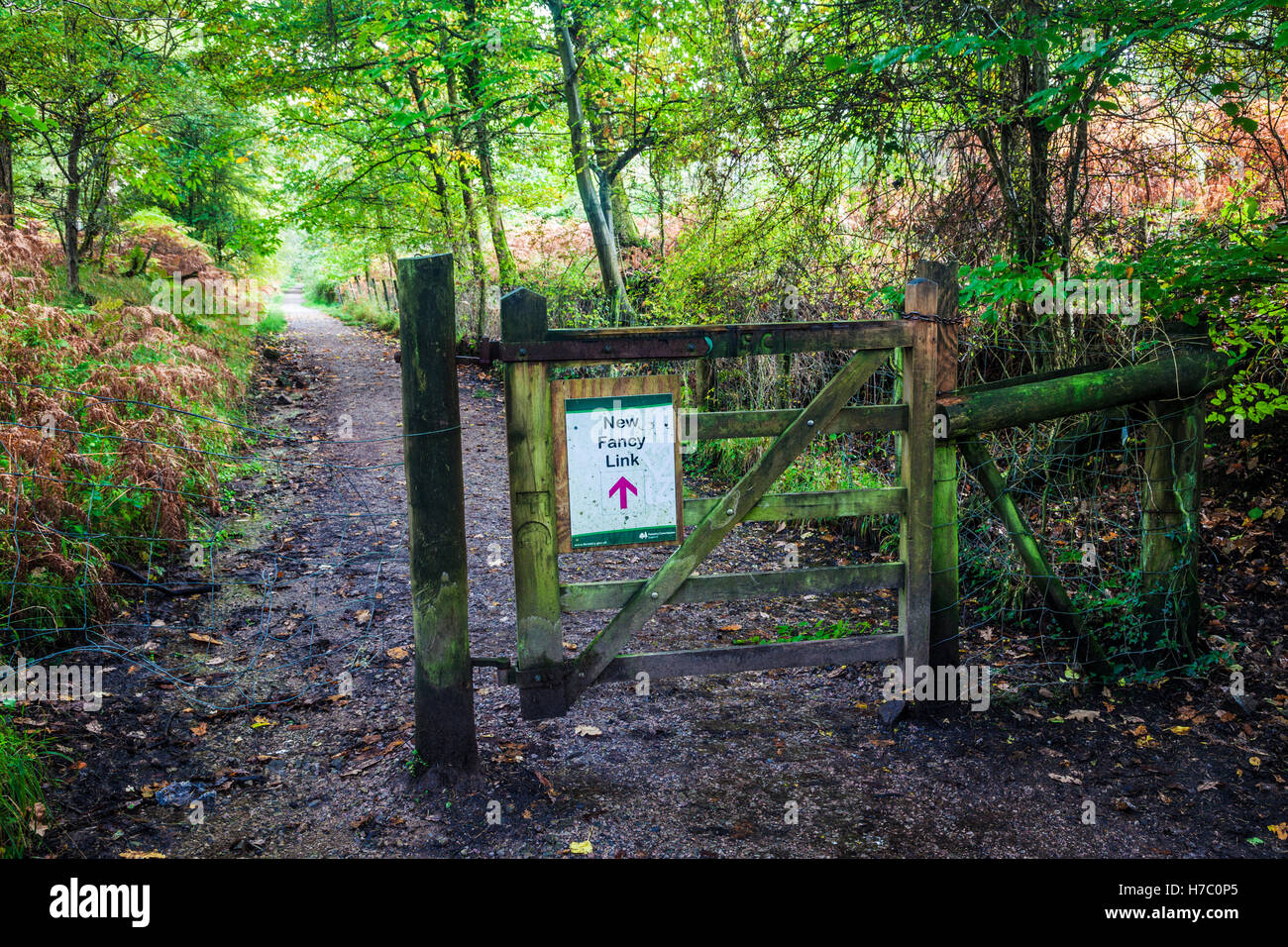 Wooden gate with notice pointing the way to New Fancy View in the Forest of Dean, Gloucestershire. Stock Photo