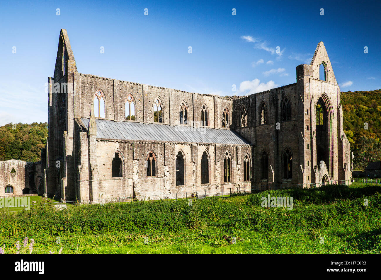 Tintern Abbey in Monmouthshire, Wales. Stock Photo