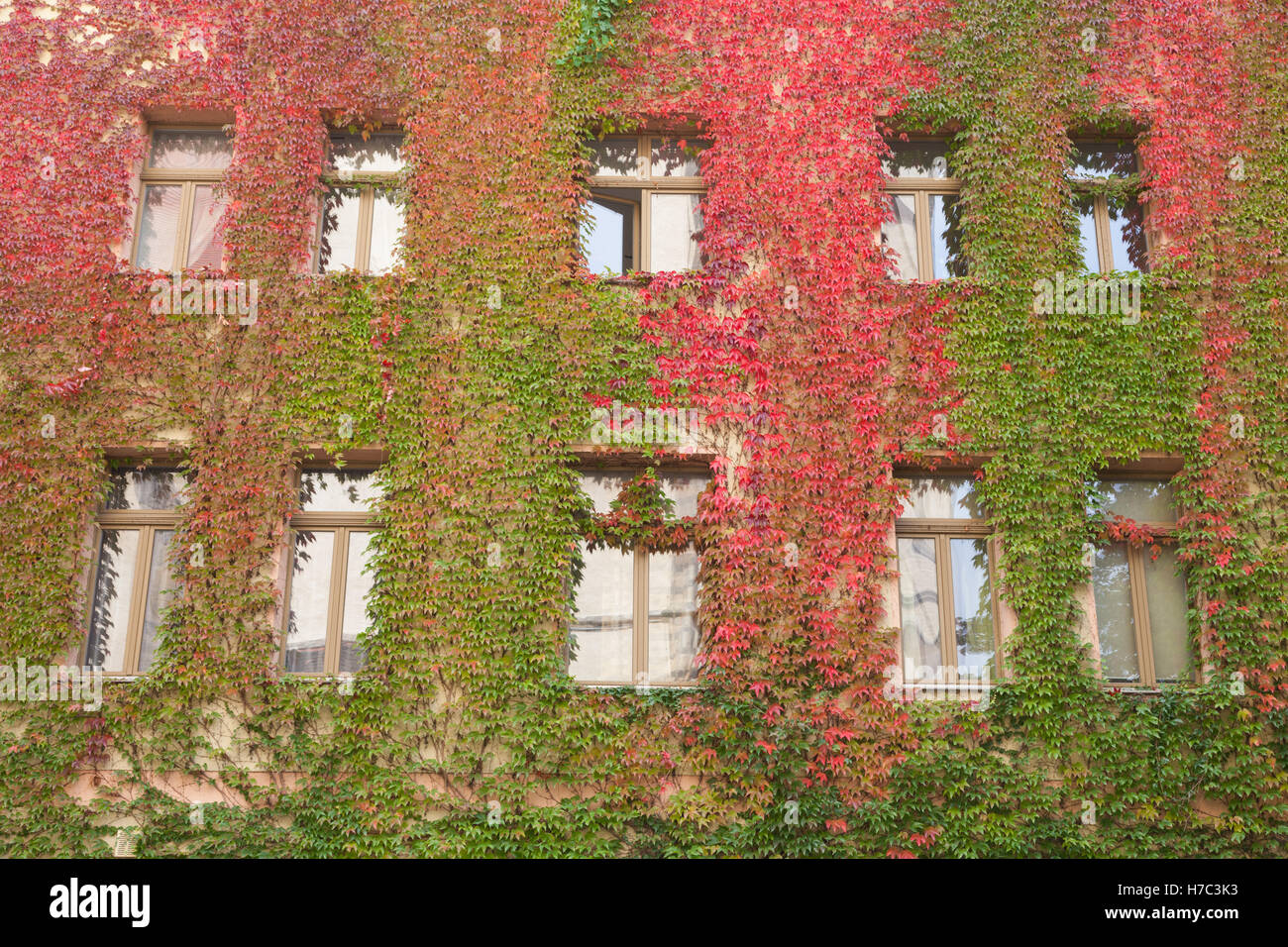 Housing in Lutherstadt Wittenberg Stock Photo Alamy