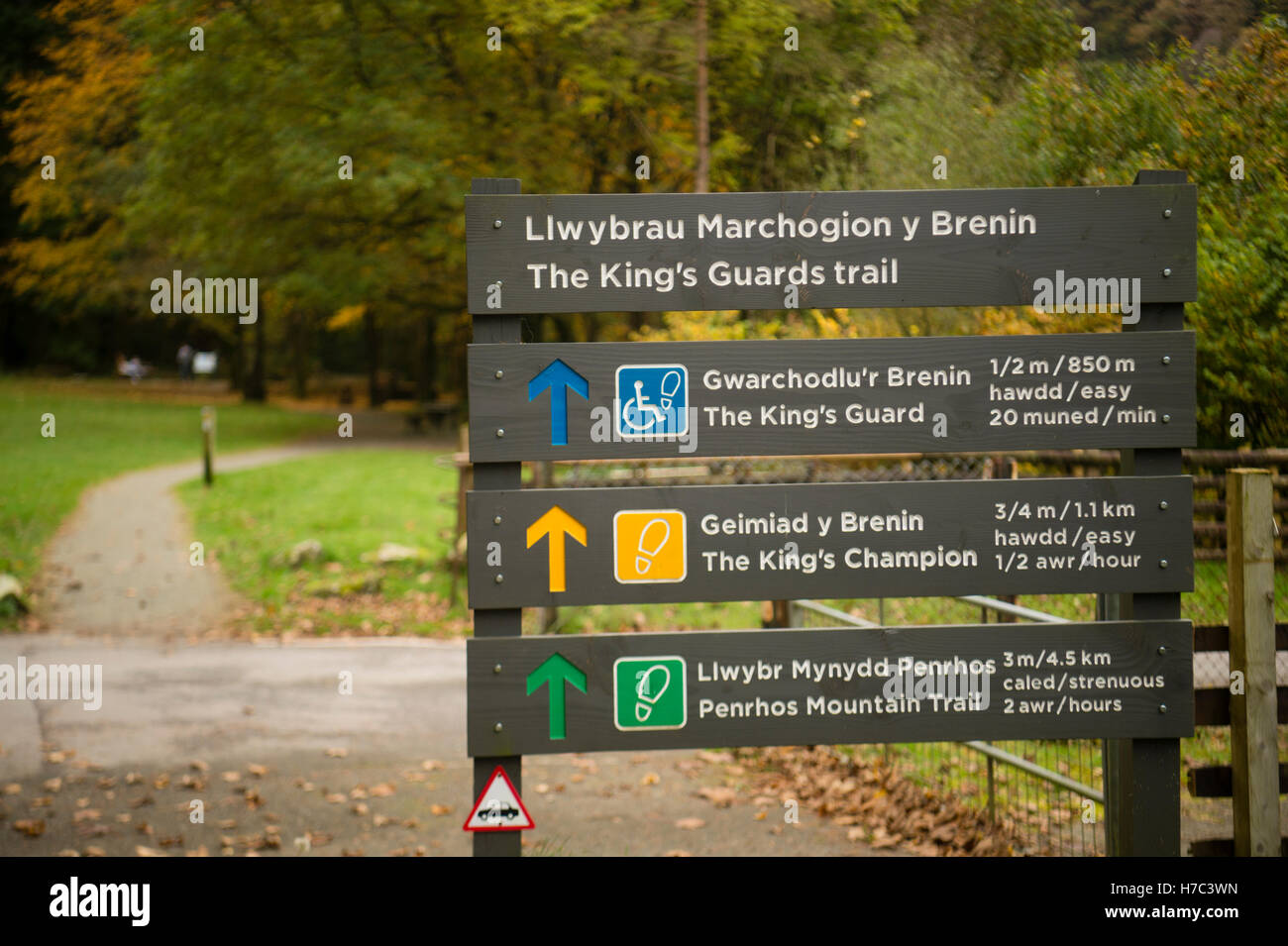 Natural Resources Wales information signposts for forest trails amidst the autumn colours and fallen leaves in Tyn y Groes forest park, near  Dolgellau , Snowdonia National Park, Wales UK October 2016 Stock Photo
