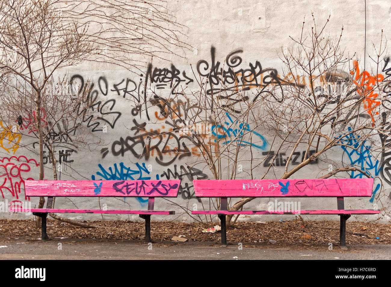 Pink Park Bench Stock Photo