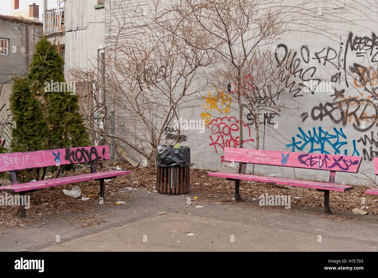 Pink Park Bench and Graffiti Stock Photo