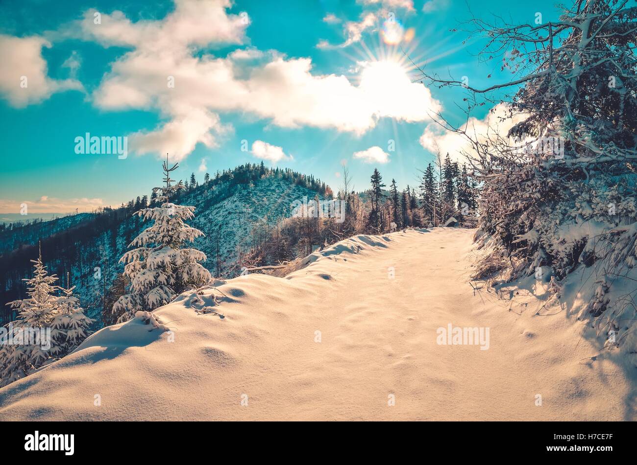 Winter mountain landscape. The sun on a mountain trail. Stock Photo