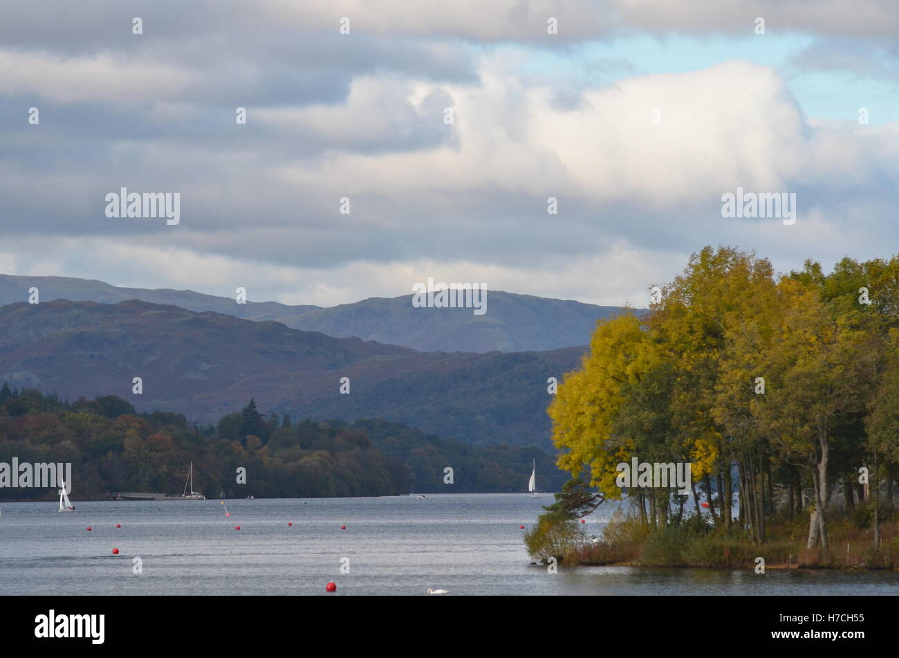 Autumn in Windermere Stock Photo Alamy